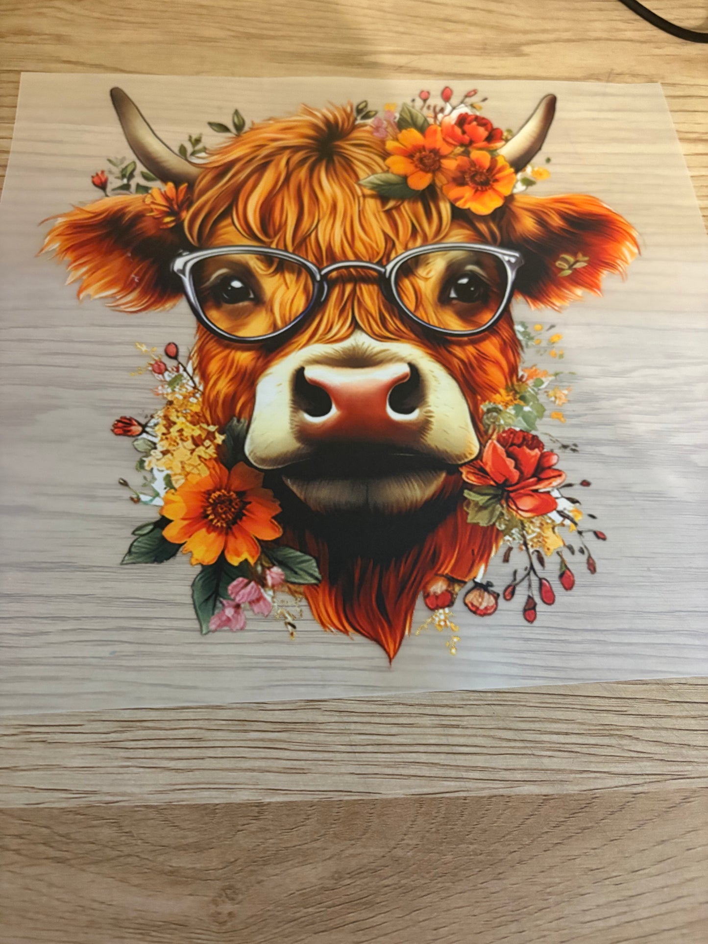 Heifer Glasses Iron-On Transfer