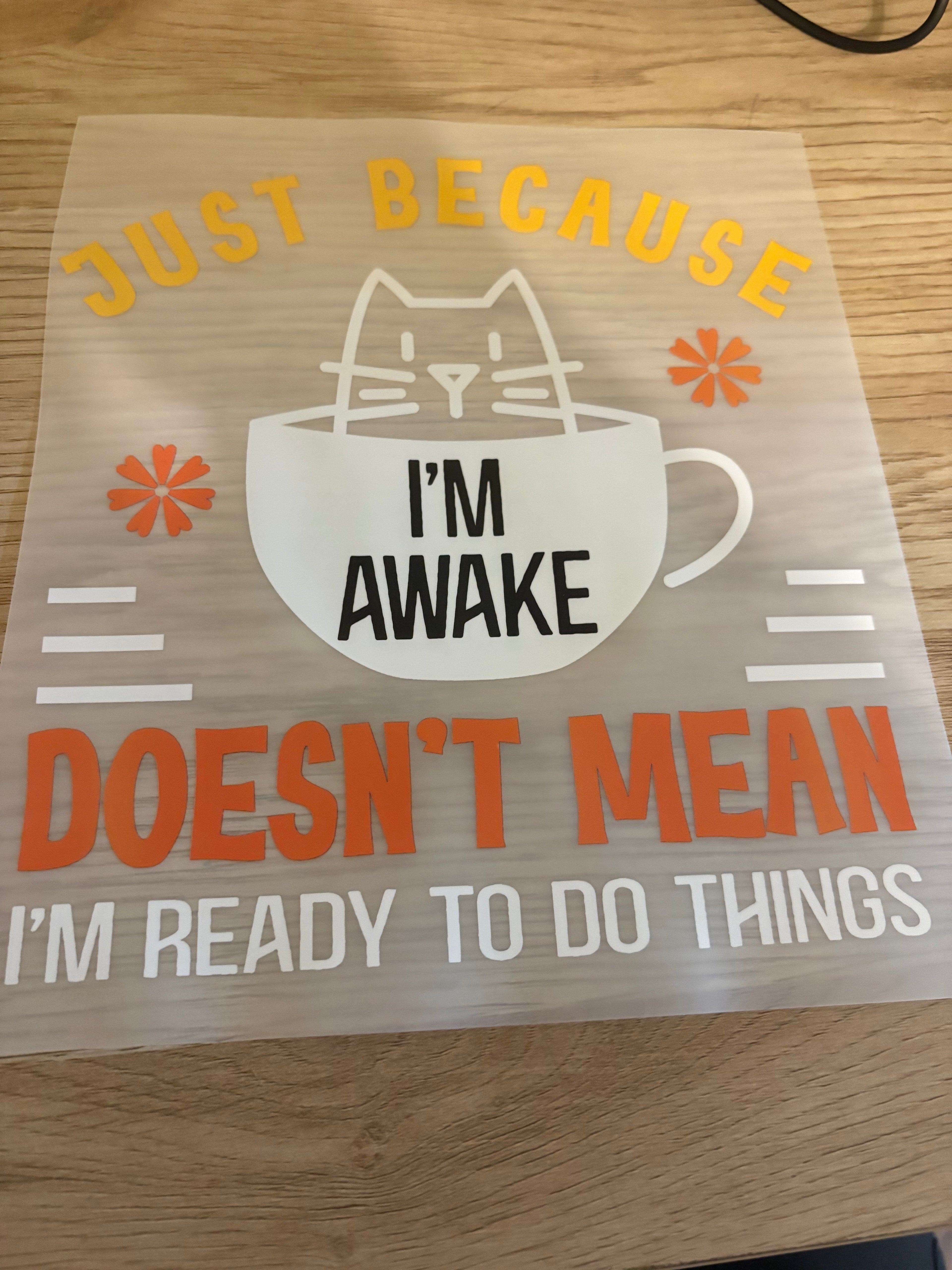 Just Because Iron-On Transfer