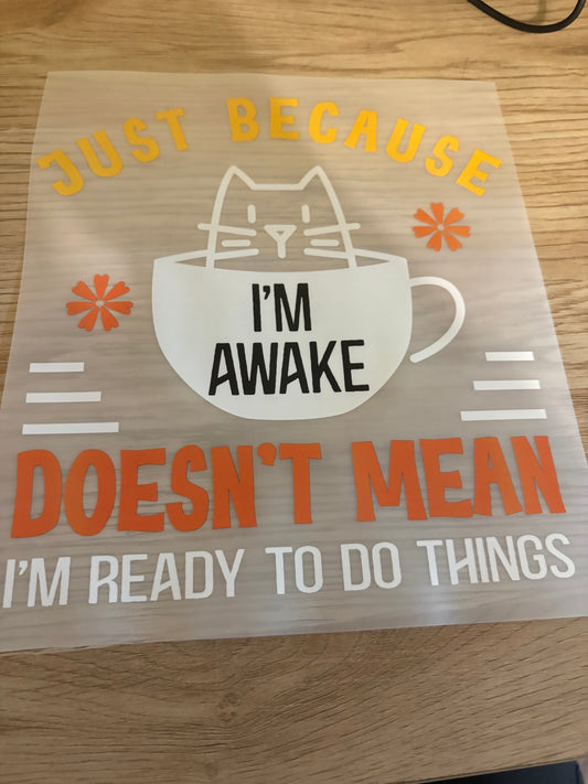 Just Because Iron-On Transfer