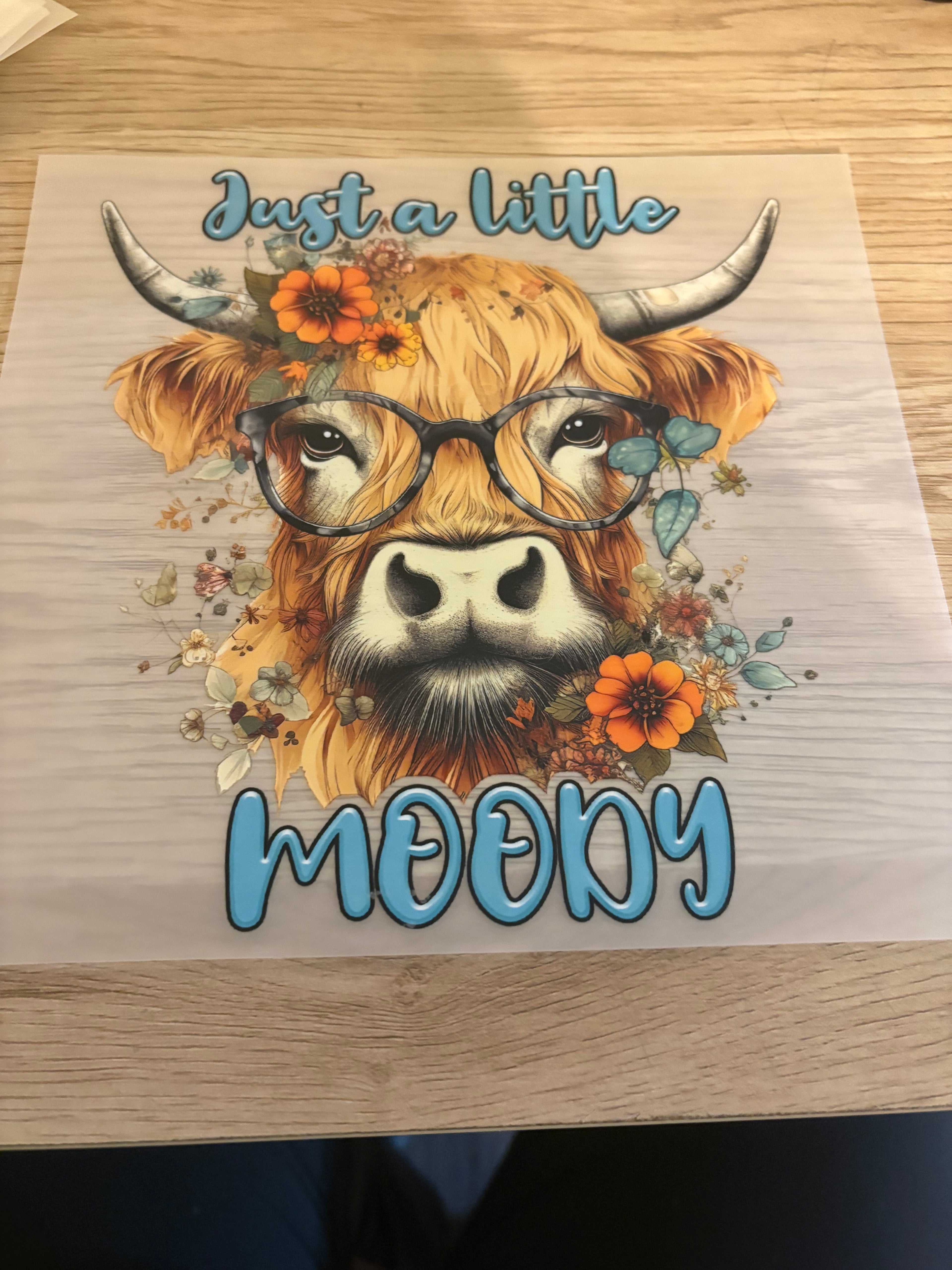 Just A Little Moody Iron-On Transfer