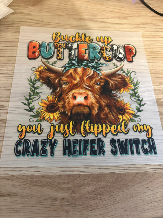 Buckle Up Iron-On Transfer