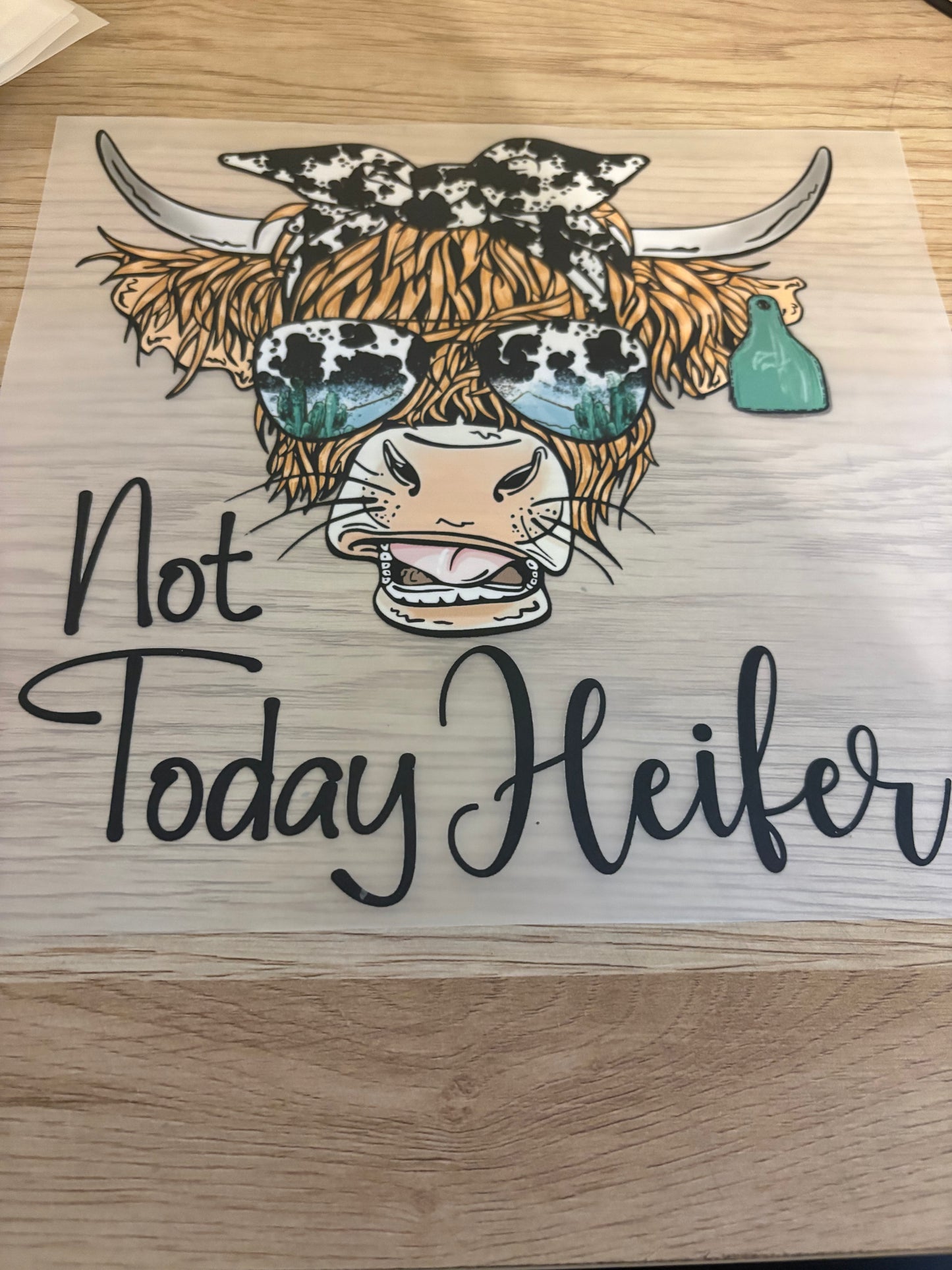 Not Today Iron-On Transfer