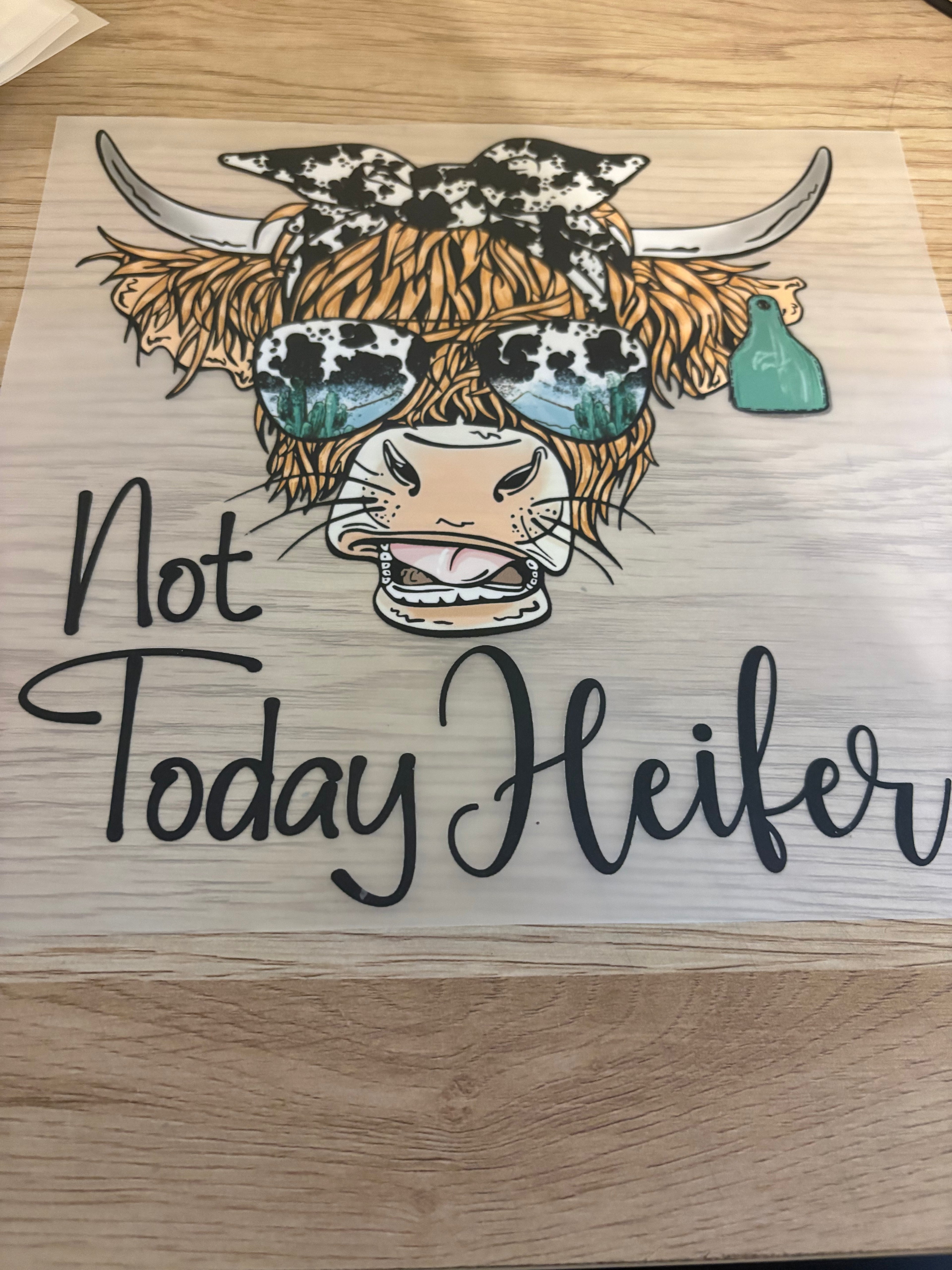 Not Today Iron-On Transfer