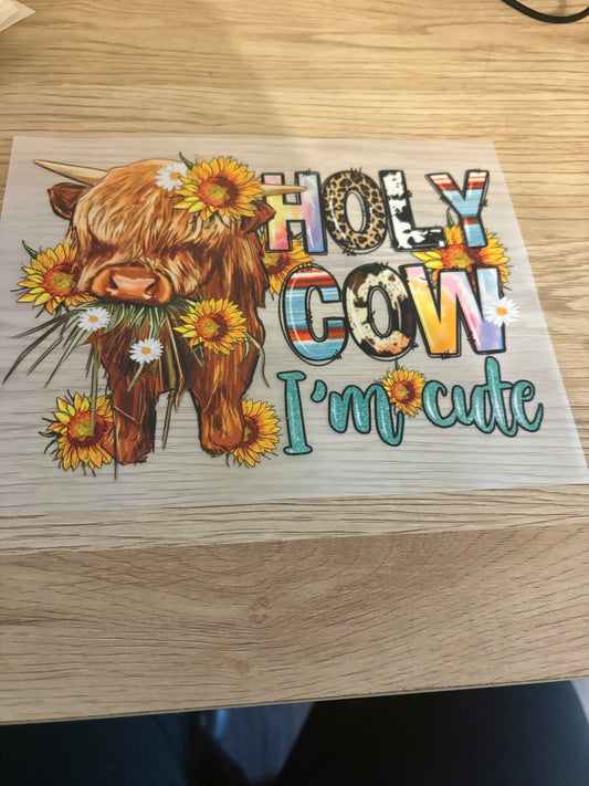 Holy Cow Iron-On Transfer