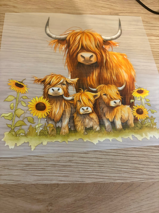 Highland cow family iron on transfer